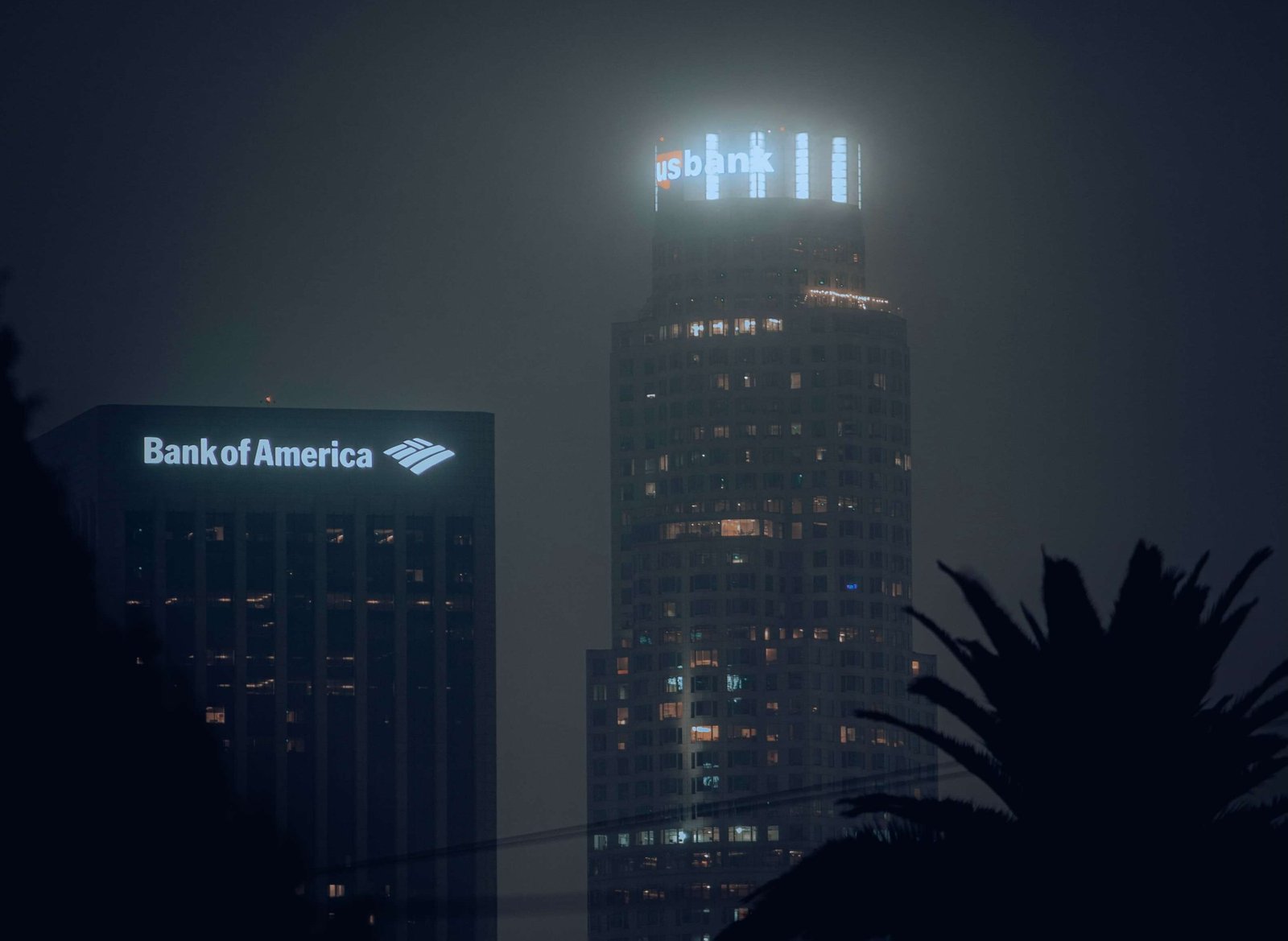 Chase and Bank of America What is bank stress test