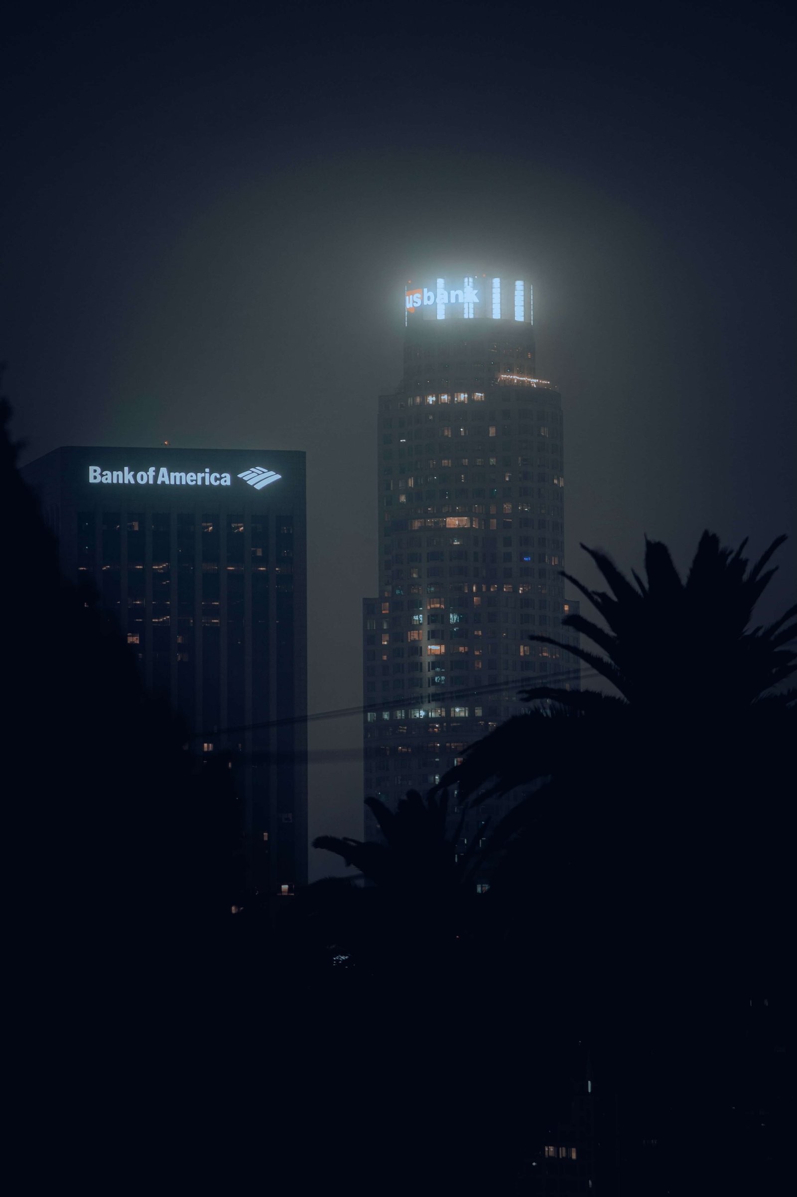 Chase and Bank of America
What is bank stress test