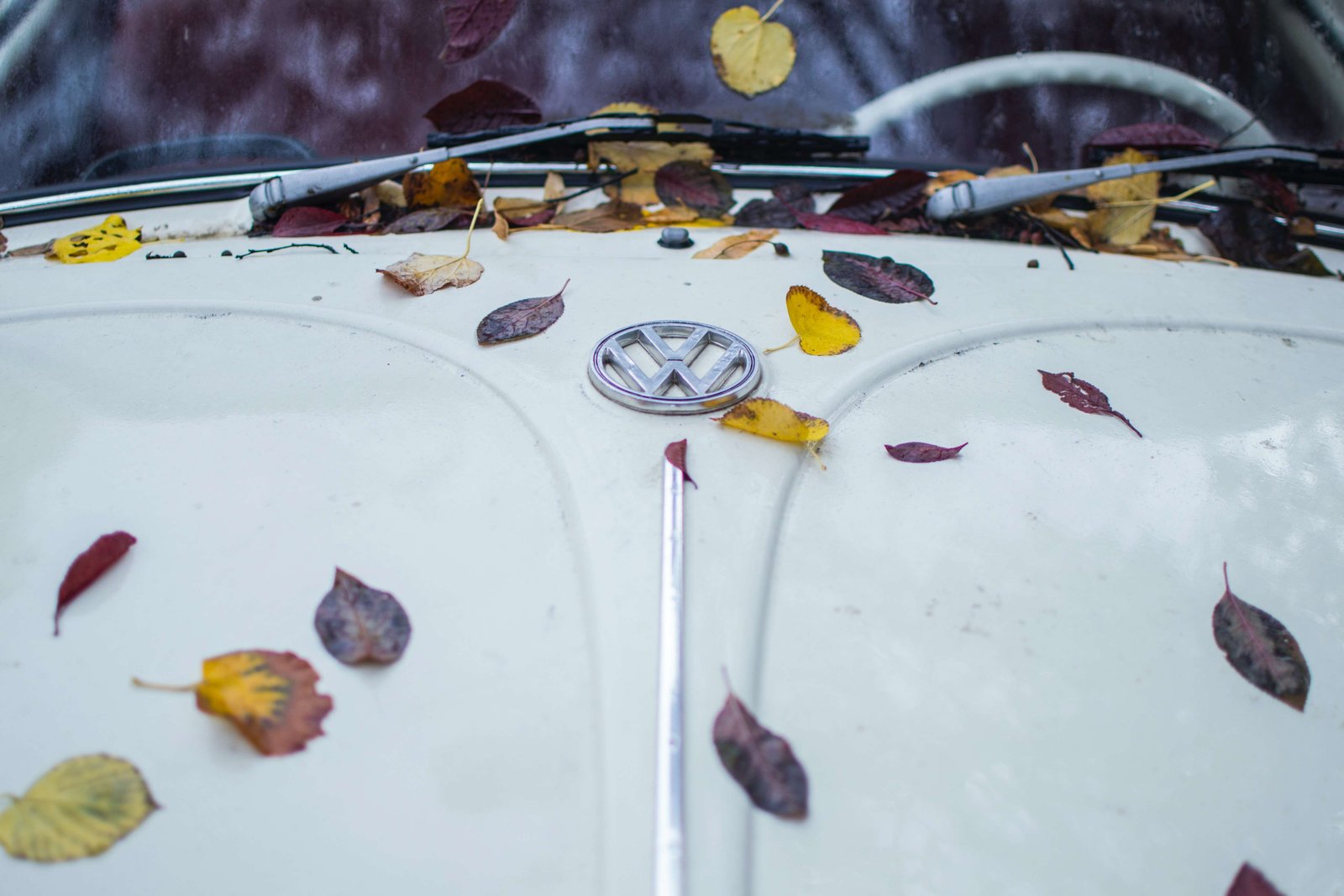 Volkswagen beetle car bonnet