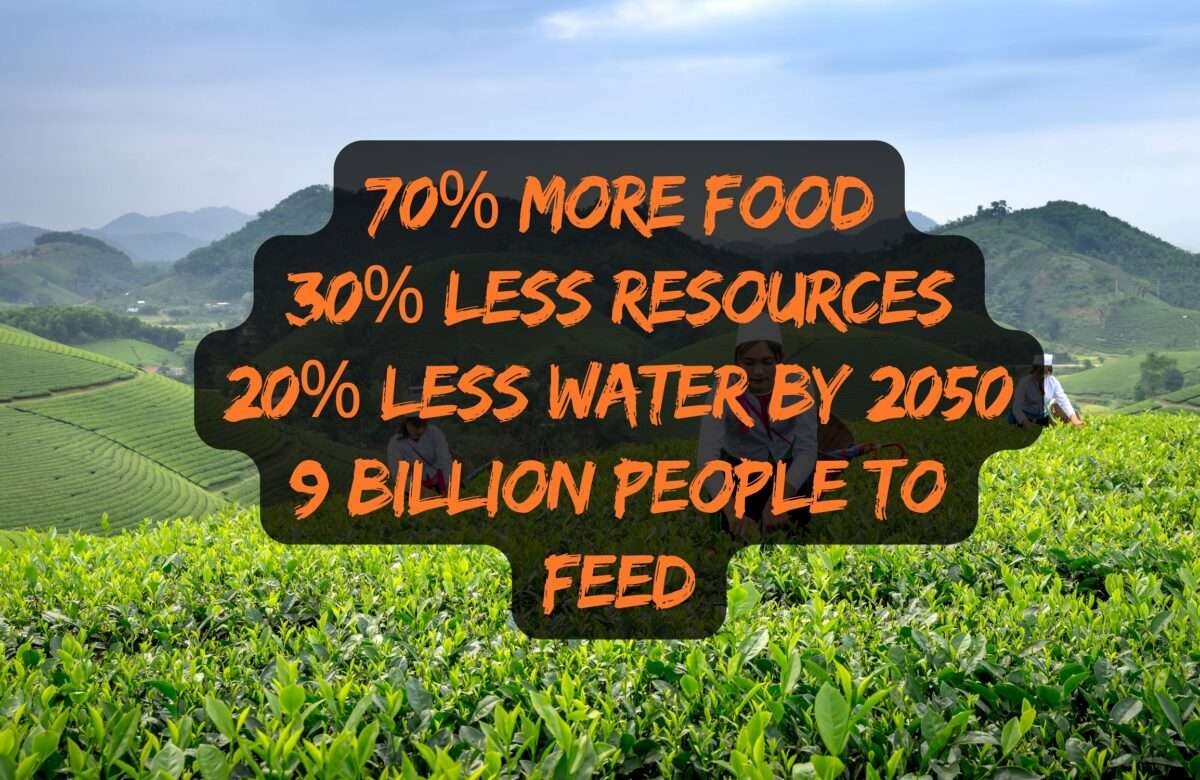 Agriculture